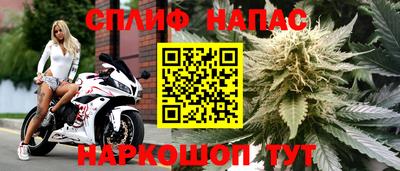 PSILOCYBIN Краснознаменск