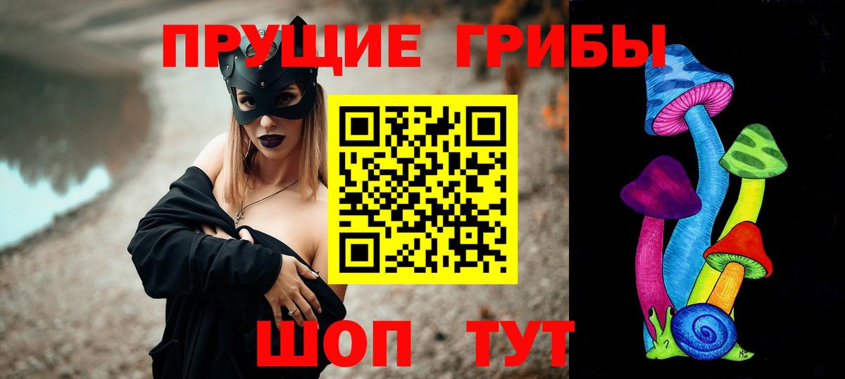 Кандалакша  Псилоцибиновые грибы Psilocybe  Вход с VPN 